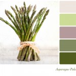 Asparagus palette Asparagus palette